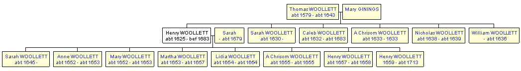 Mini tree diagram