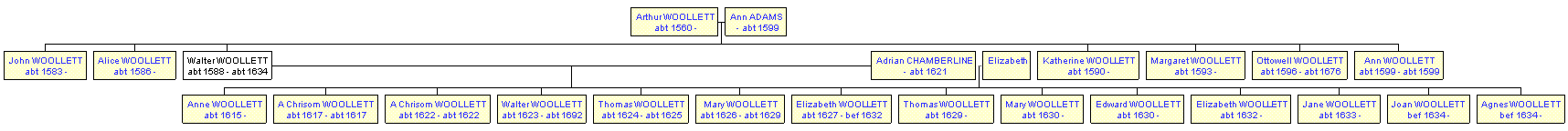 Mini tree diagram