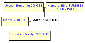 Mini tree diagram