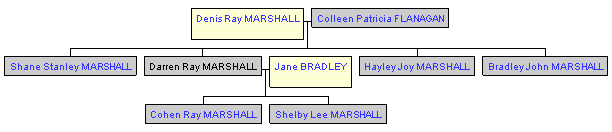 Mini tree diagram