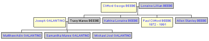 Mini tree diagram