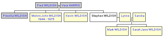 Mini tree diagram