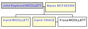Mini tree diagram