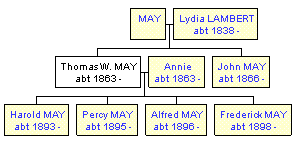 Mini tree diagram